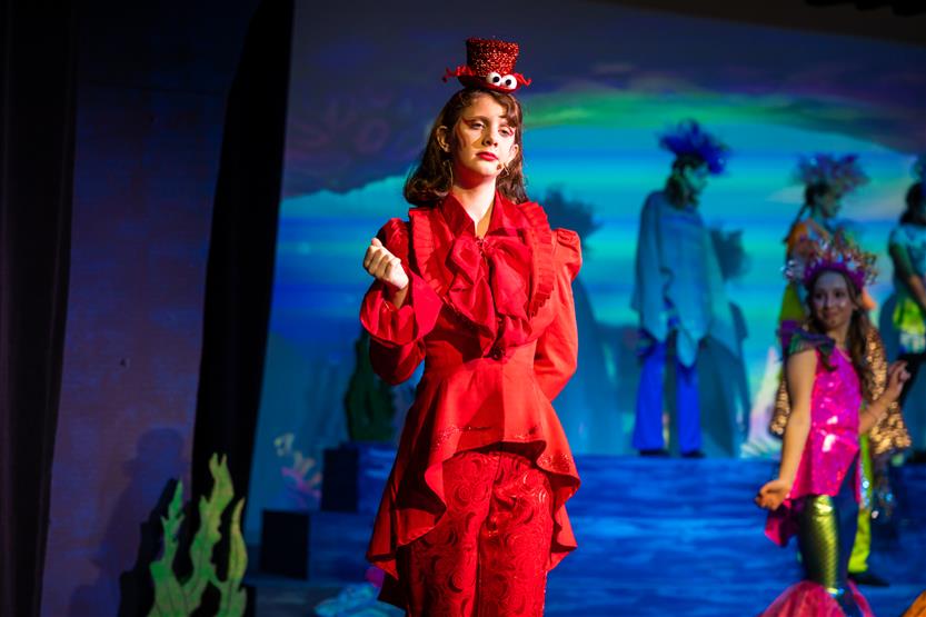 Students perform in musicals